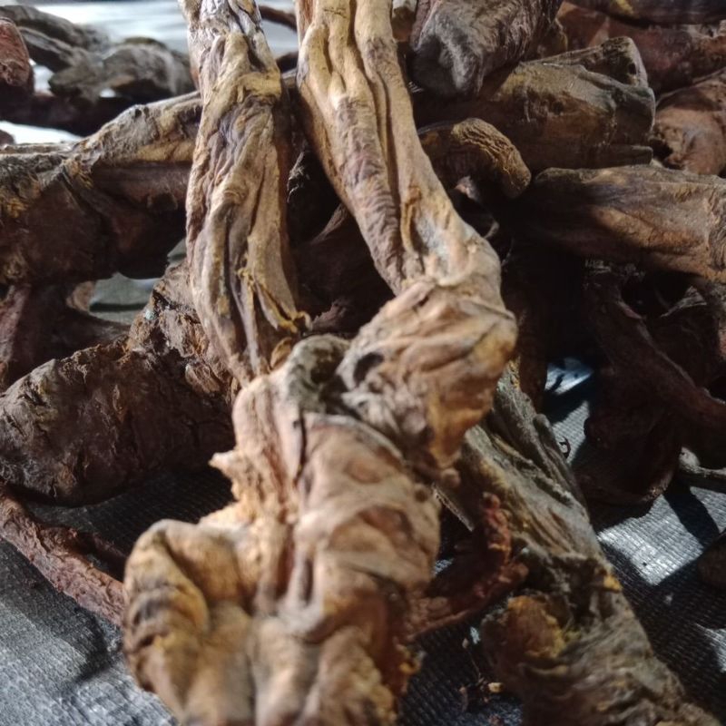 

Akar klembak jawa 100 gram