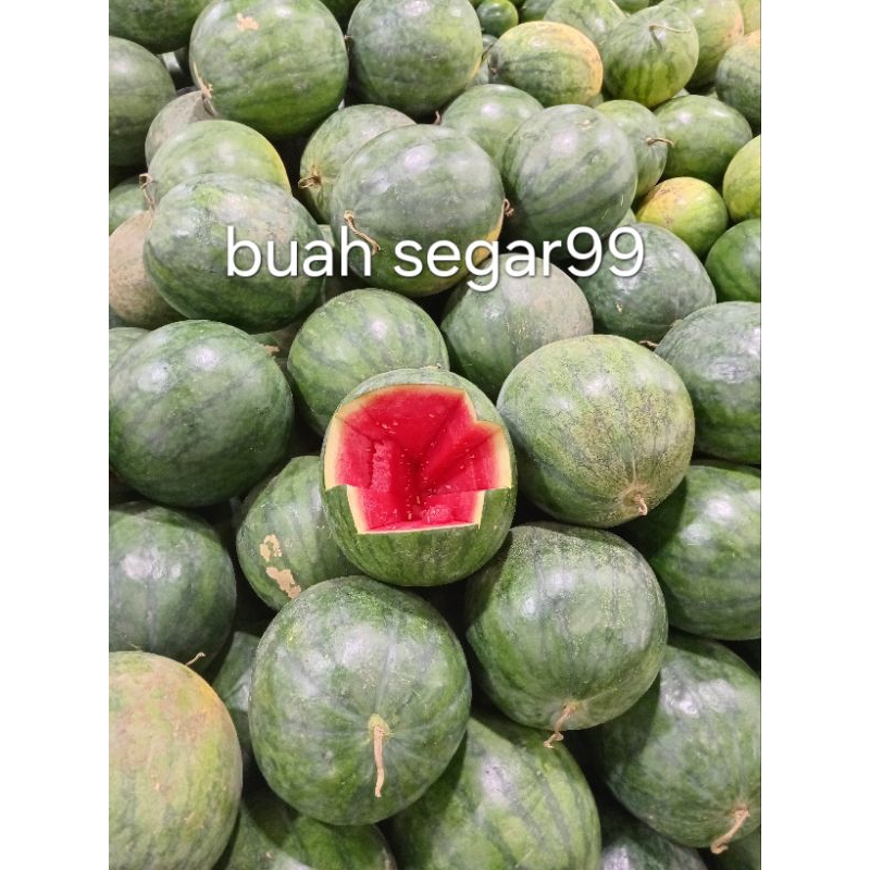 

semangka merah manis/fres non biji/ 1 buah