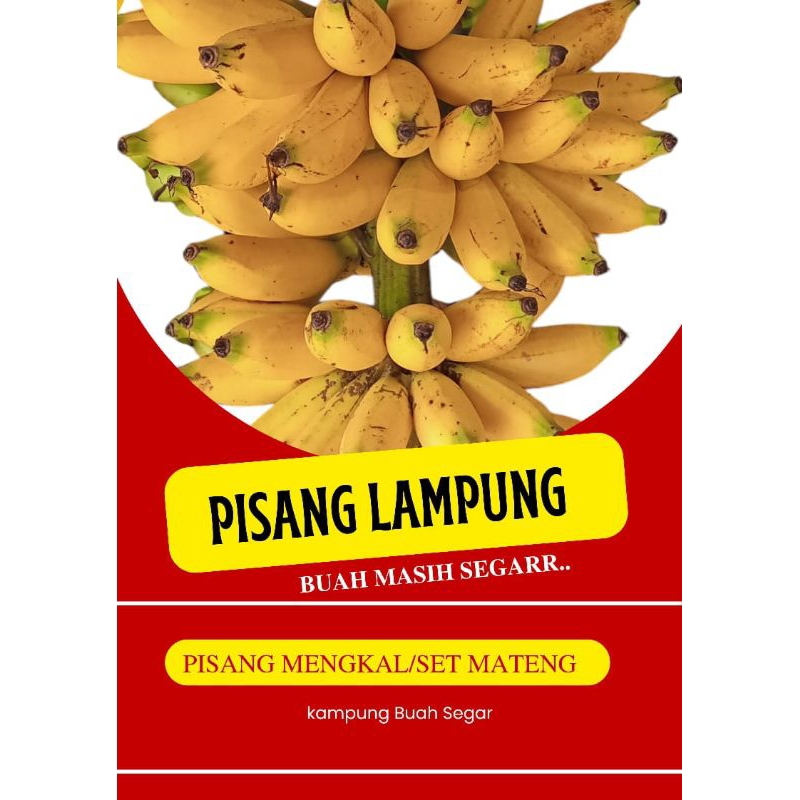 

pisang lampung 500gr - 5kg