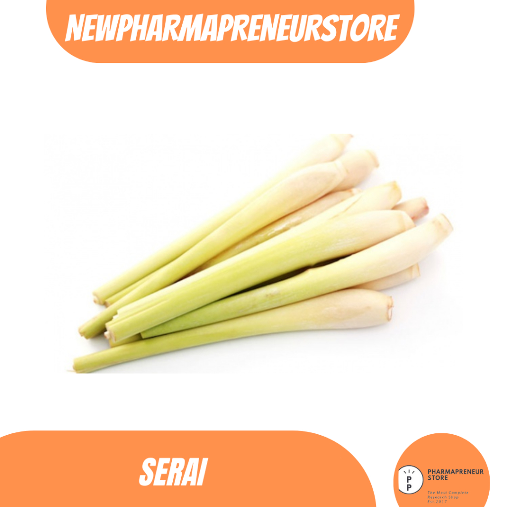 

DRIED SERBUK BATANG SERAI BEST QUALITY