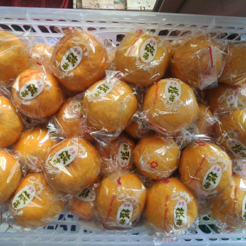 

jeruk ponkam 1 dus medium 8 kg