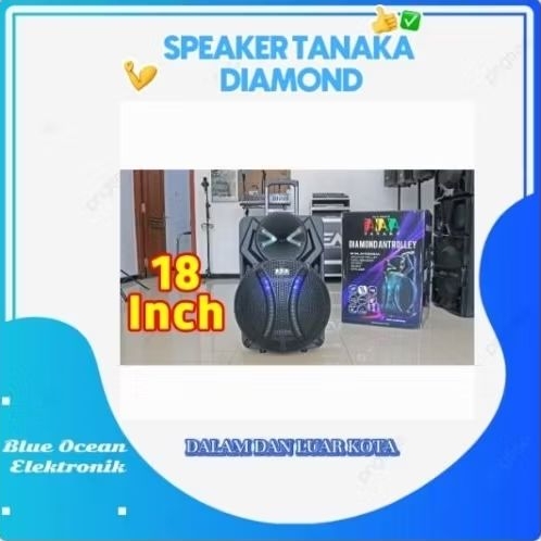 Speaker Tanaka Diamond