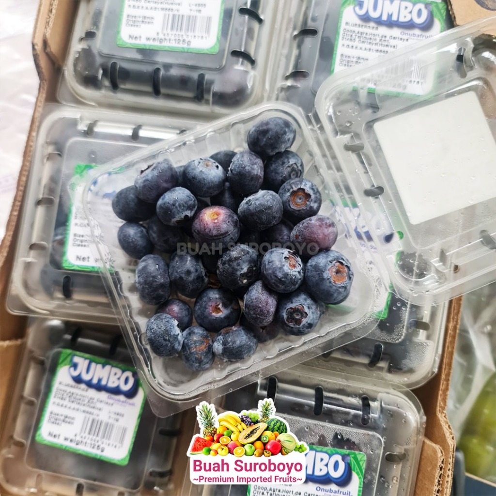 

Blueberry Premium Euro Jumbo