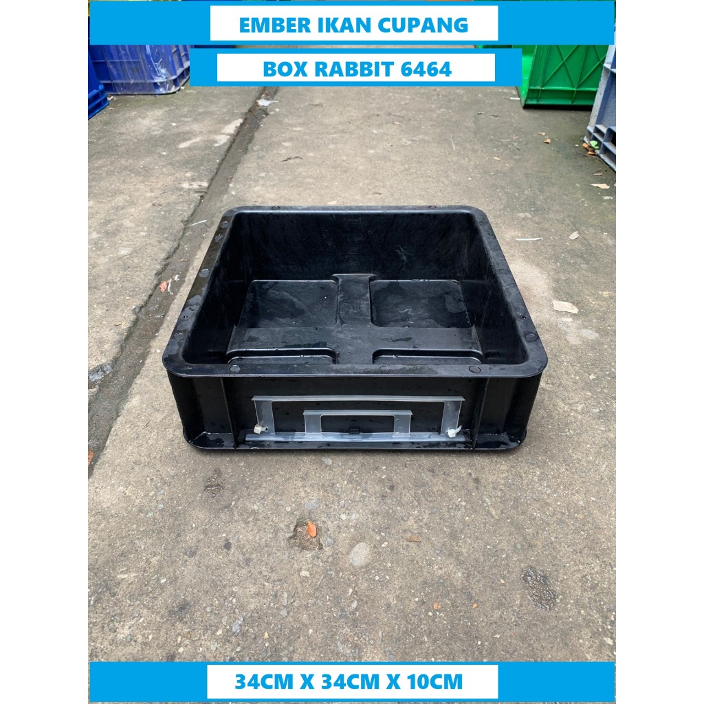Box rabbit plastik 6464 box ikan hias box ikan cupang