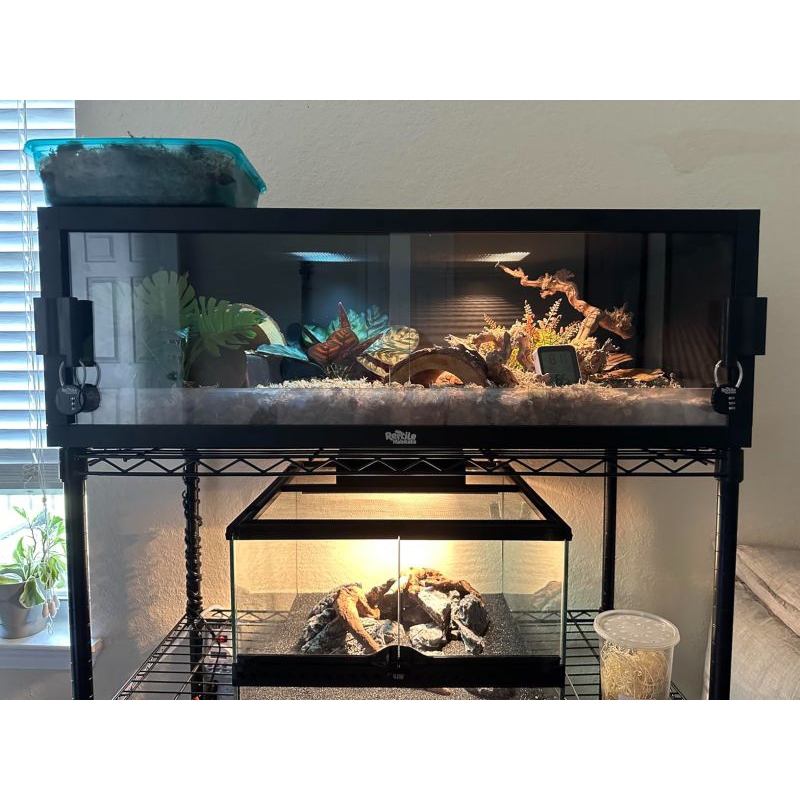 Lampu Reptile Halogen Basking Spot 150W E27.