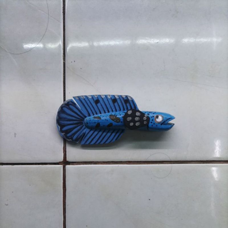 

Stiker Blue Pulchra, Asli Live