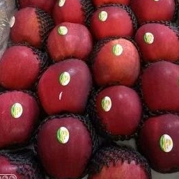 Buah Apel Merah