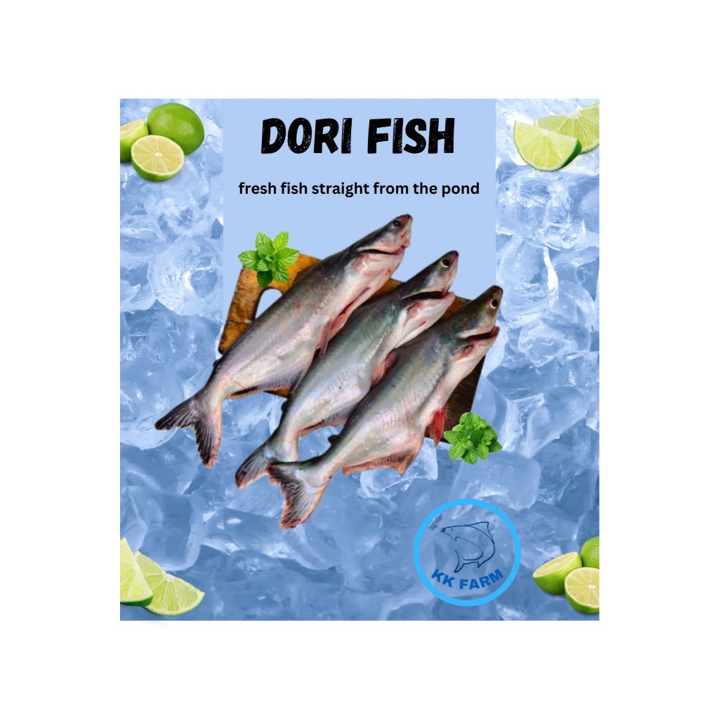 

Ikan Patin fresh 1kg (FREE dibersihkan dan request potong)