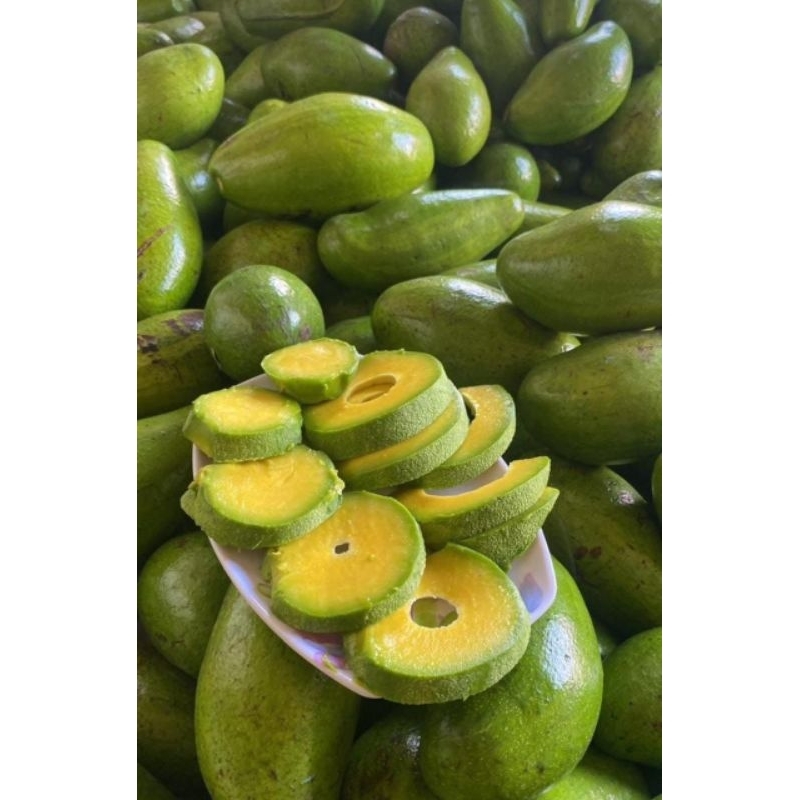 

Buah Alpukat Mentega