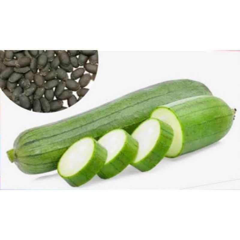 20 BUTIR BIJI/BENIH GAMBAS OYONG TAIWAN REPACK