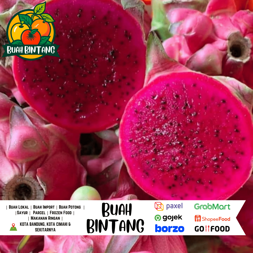 

Naga Merah 1 Kg / 1 Butir - Buah Bintang