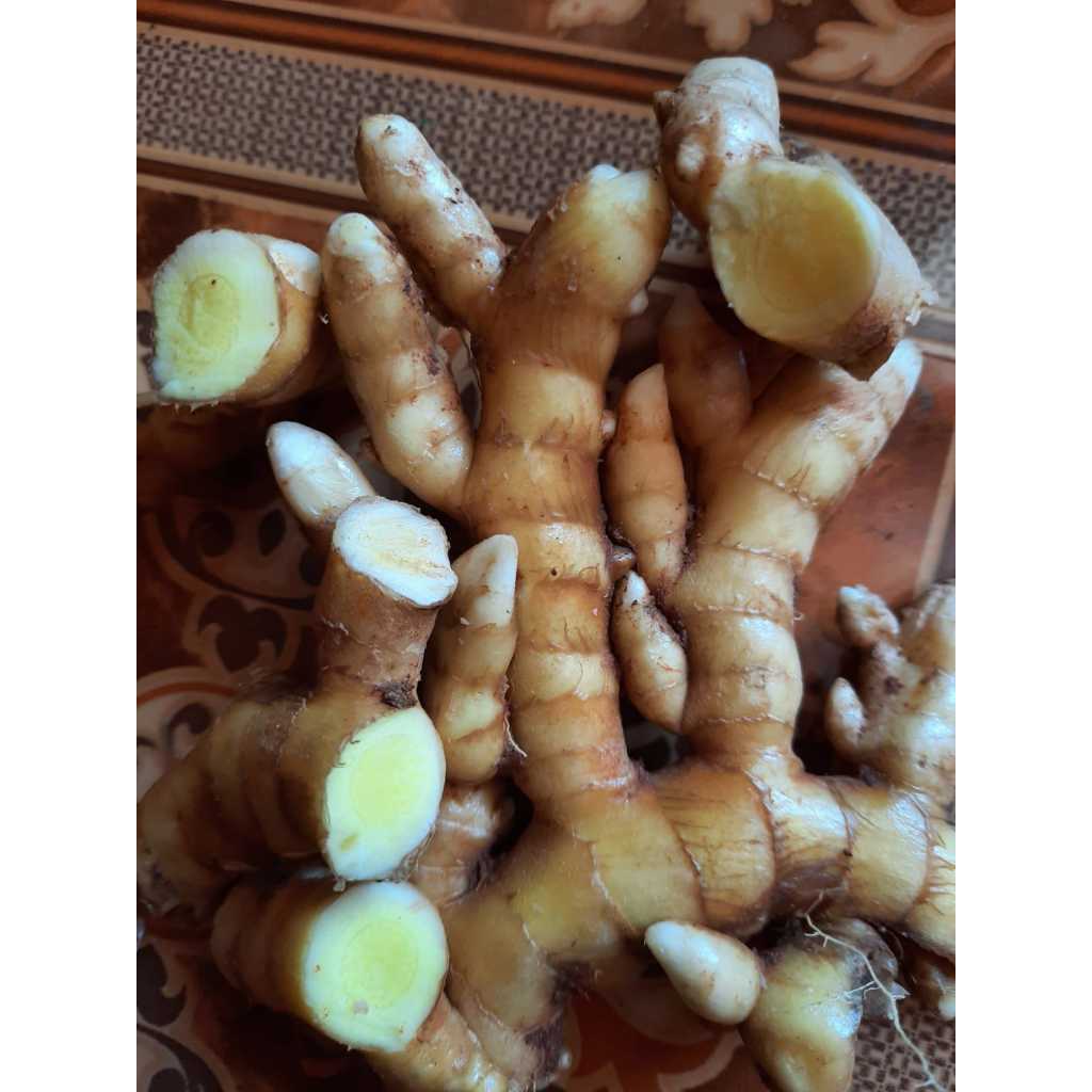 

TEMU MANGGA SEGAR BERSIH 1 KG FRESH