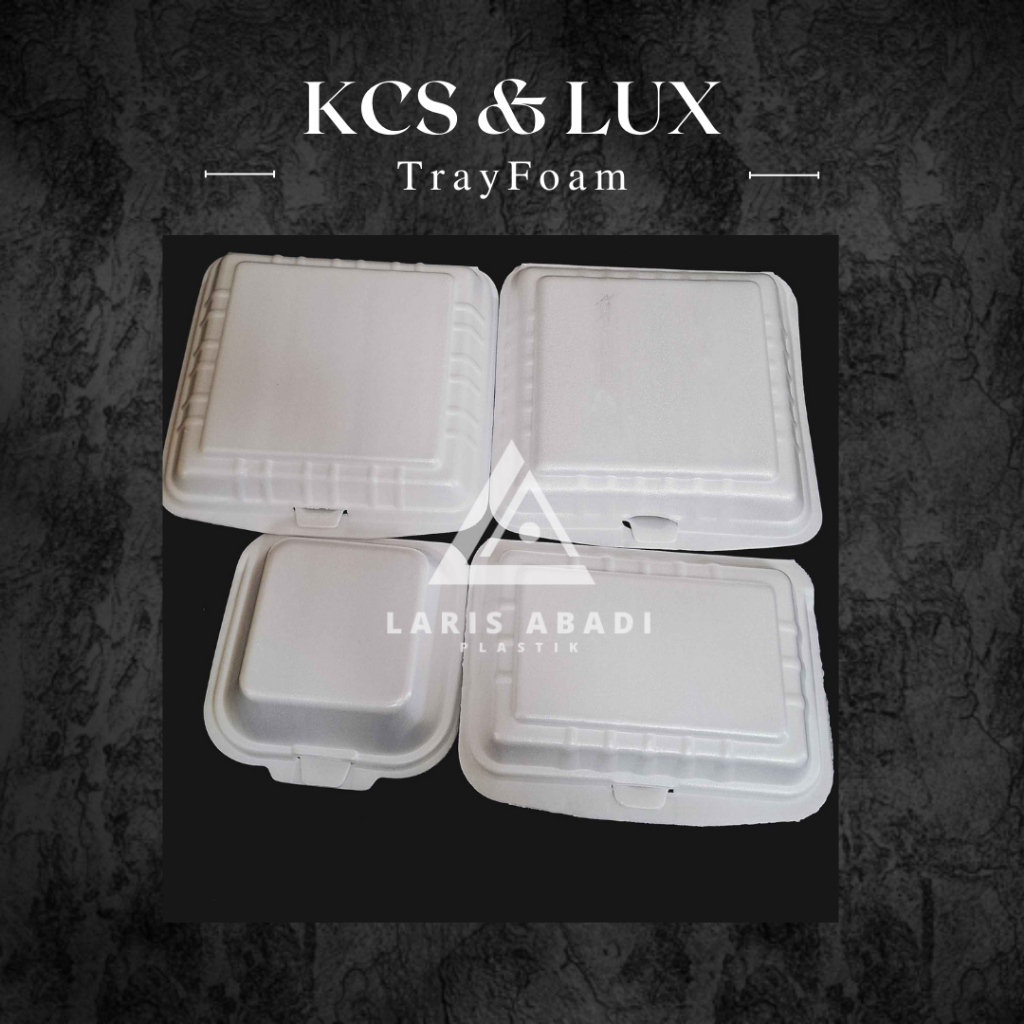 Styrofoam Box Makanan trayfoam Burger, TF2, TF3 sekat & polos