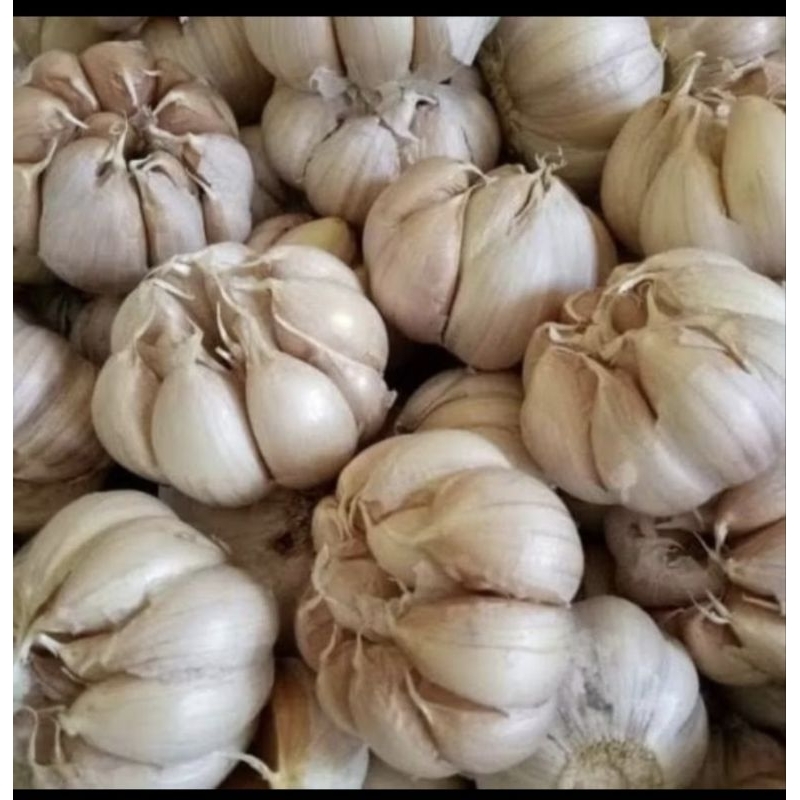 

Bawang putih sinco super 500g