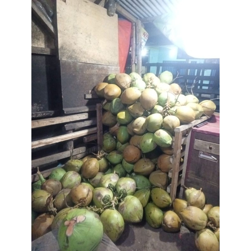 

kelapa muda grosir