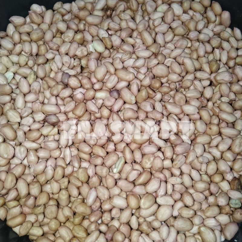 

Kacang tanah / Kacang ose 250 gram
