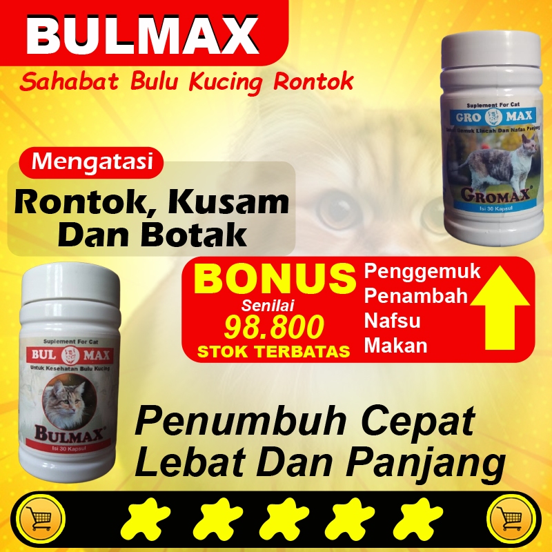 [BM28] OBAT PELEBAT BULU KUCING BULMAX PEMANJANG BULU KUCING RONTOK ANGGORA PERSIA HIMALAYA KAMPUNG
