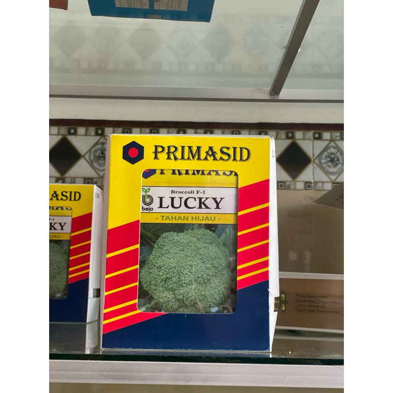 

LUCKY BROKOLI BESAR 5.000 Bj (Primasid)
