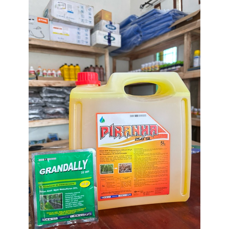 HERBISIDA PIRANHA 250SL 5 Liter (Bonus bubuk GRANDALLY 25 WP ukuran besar) - Racun sistemik pembasmi
