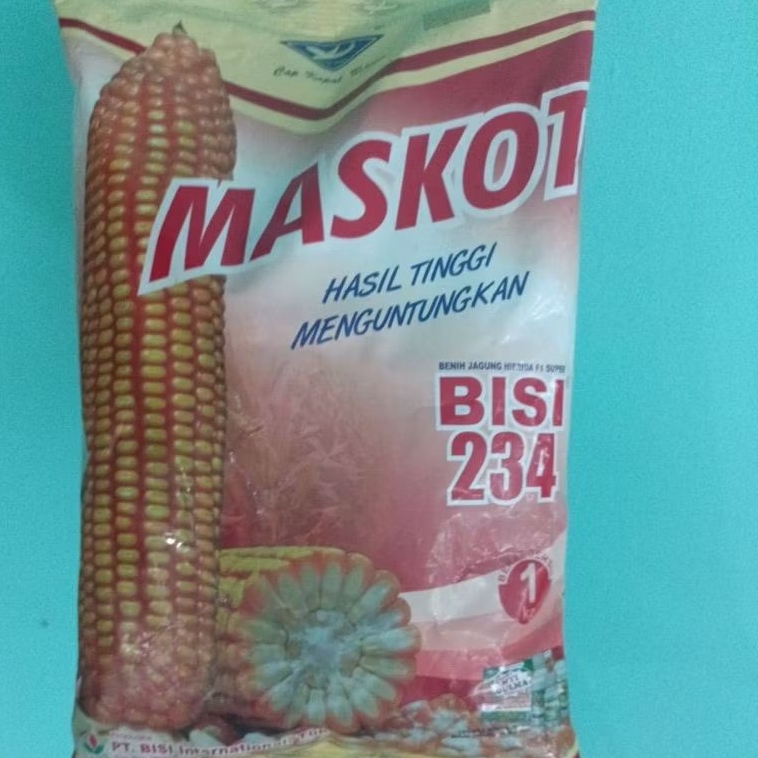 

JAGUNG BISI 234 MASKOT