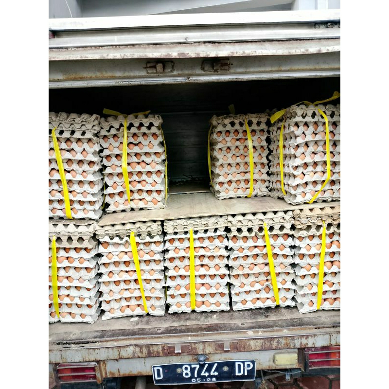 

HA TELUR AYAM NEGERI FRESH 1 tray/papan isi 30 butir (1600-1700gram)