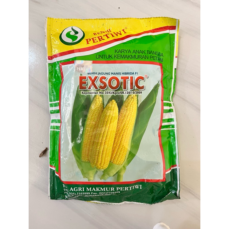 

Pertiwi Exotic Jagung