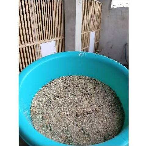 pakan ayam petelur dan babon yang macet bertelur