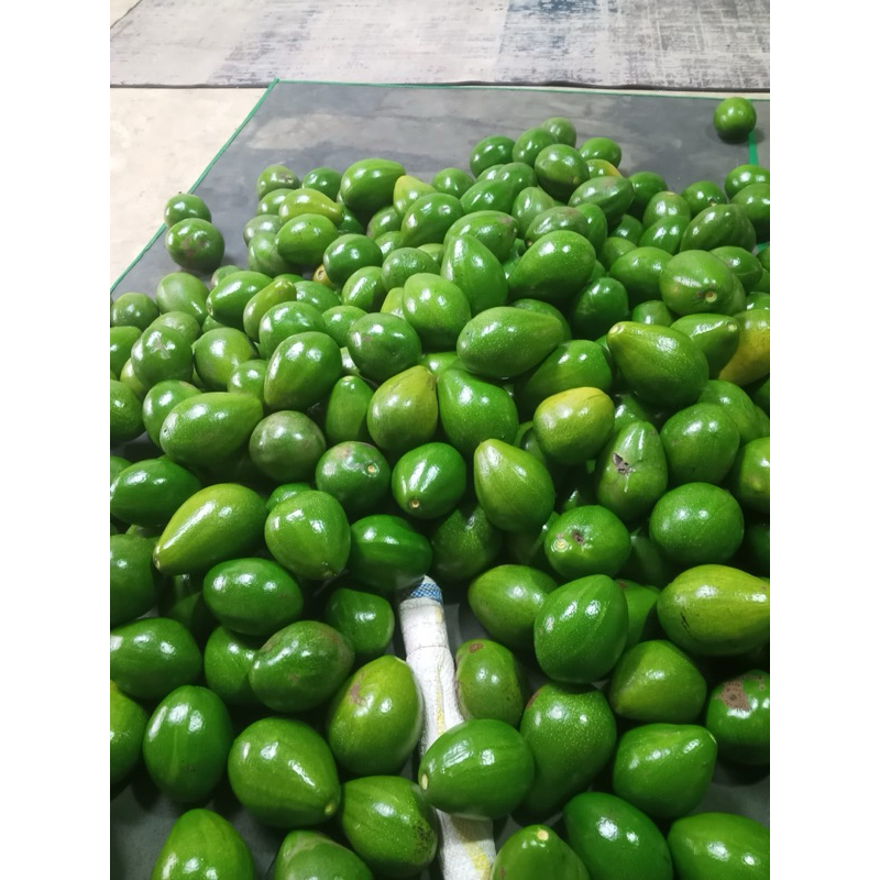 

ALPUKAT MENTEGA (MENTAH)