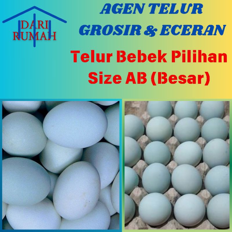 

TELUR BEBEK PILIHAN TERMURAH