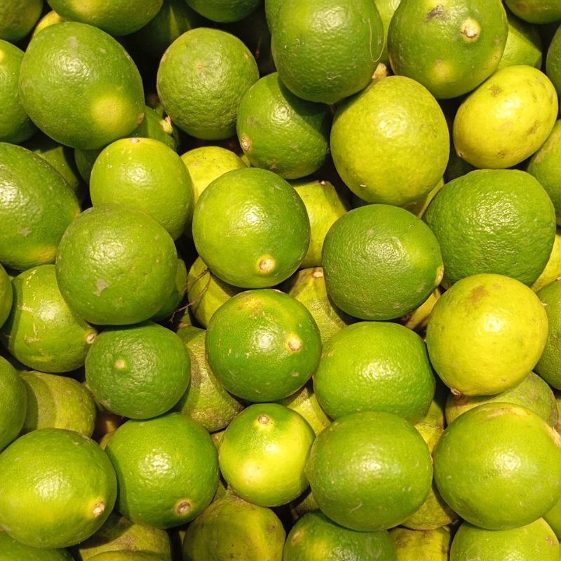 

JERUK NIPIS SEGAR 500 GRAM