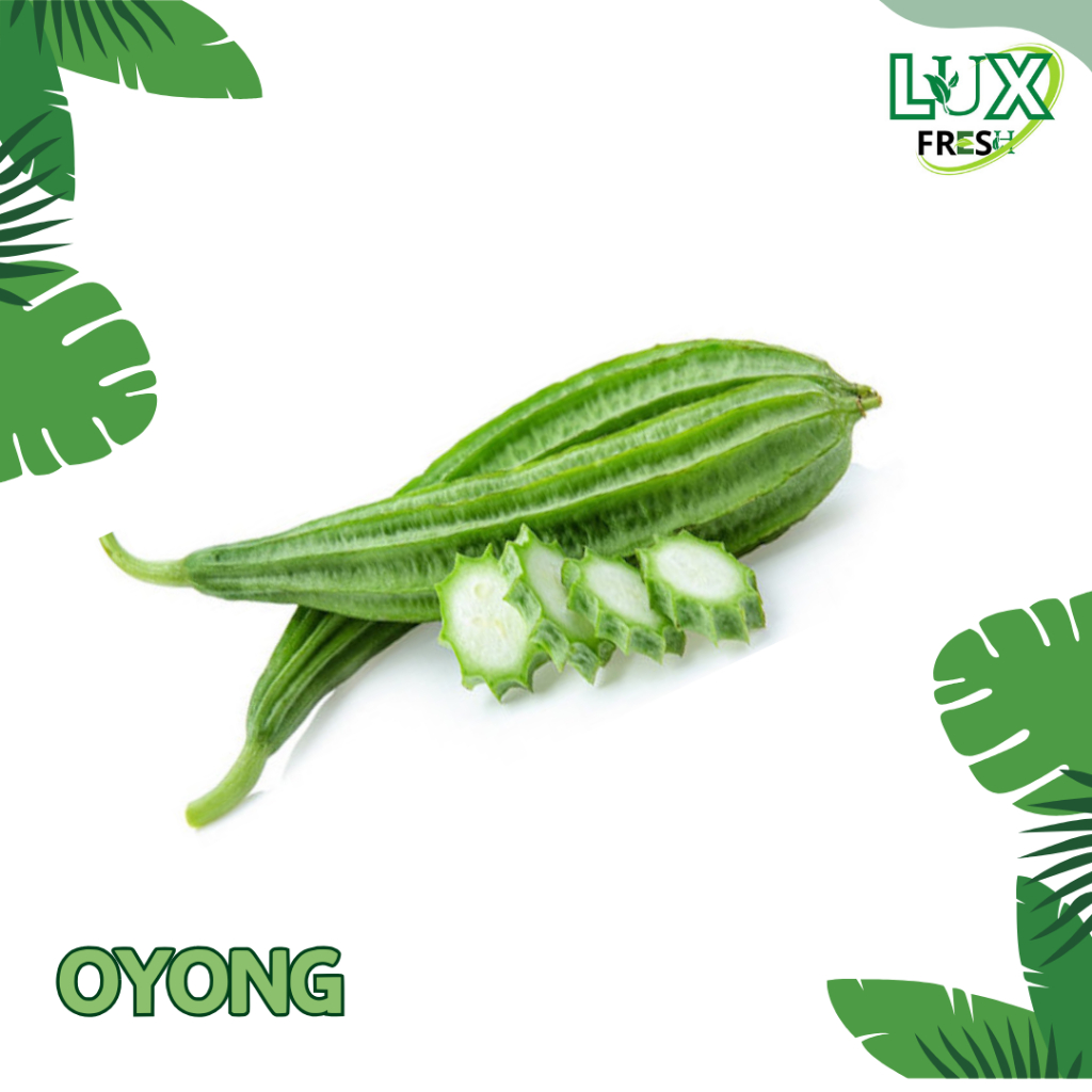 

OYONG FRESH 500 GRAM DAN 1 KG BEST QUALITY