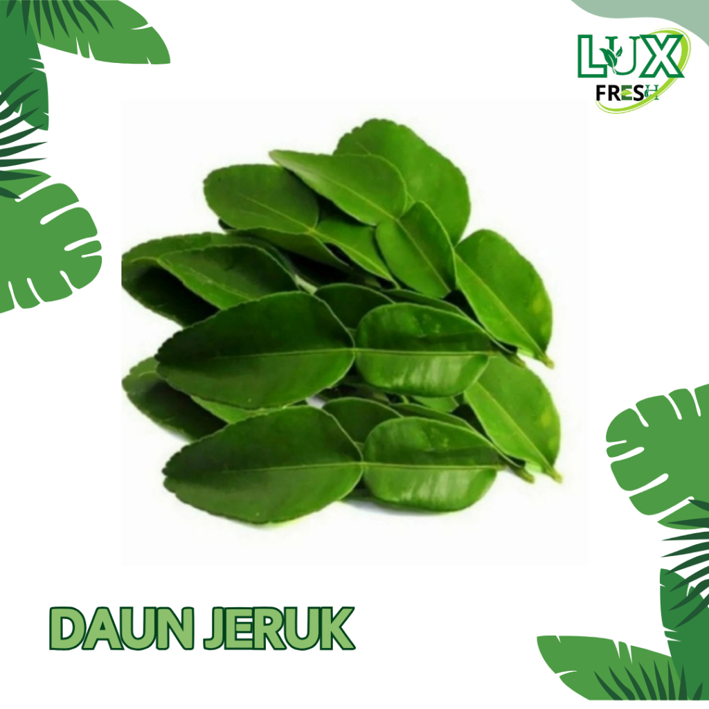

DAUN JERUK FRESH BEST QUALITY
