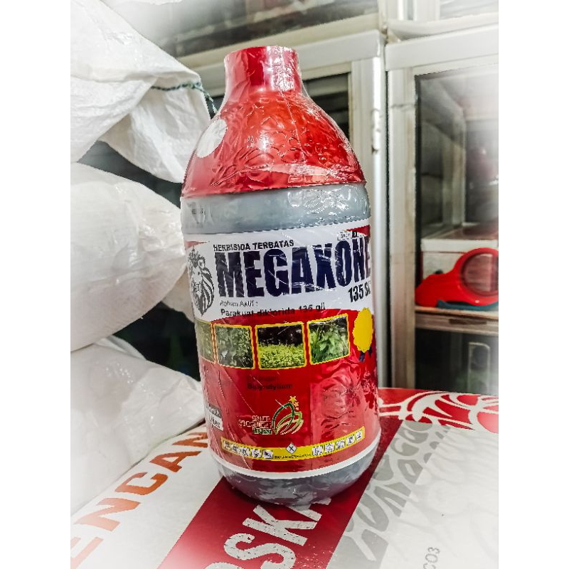 MEGAXONE
