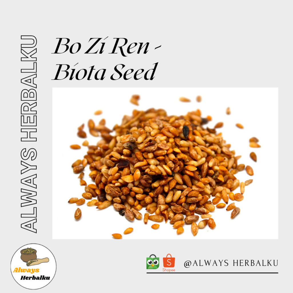 

Bo zi ren / bai zi ren / biota seed / semen platycladi (50gr)