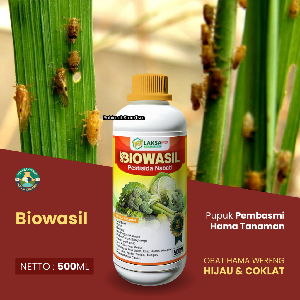 (TERLARIS) Obat Pembasmi Hama Wereng PADI, Pupuk Semprot Pembasmi Hama Wereng coklat & hijau Ampuh B