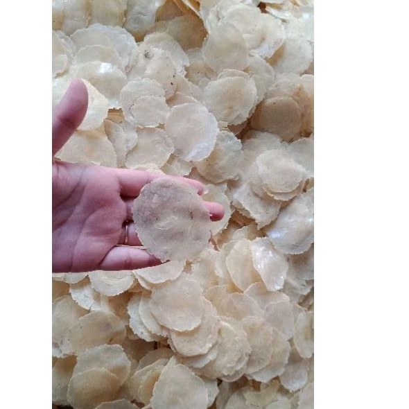 

1kg EMPING MELINJO SUPER (biji 2) Asli Kebumen Jawa Tengah SIAP GORENGG