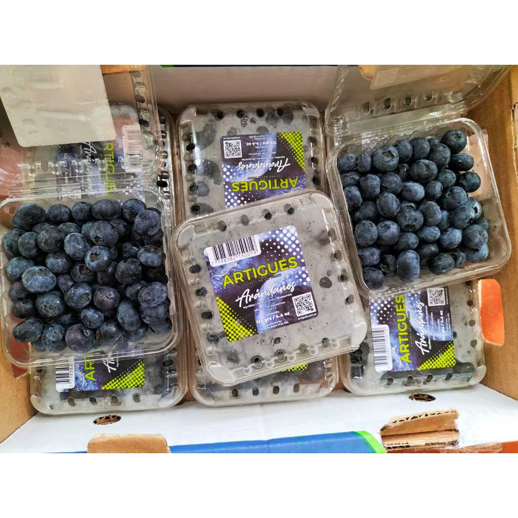 

Blue Berry Import