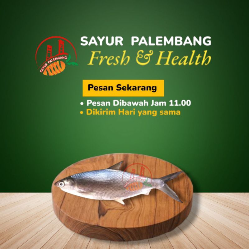 

Ikan Bandeng 1KG - Sayur Palembang