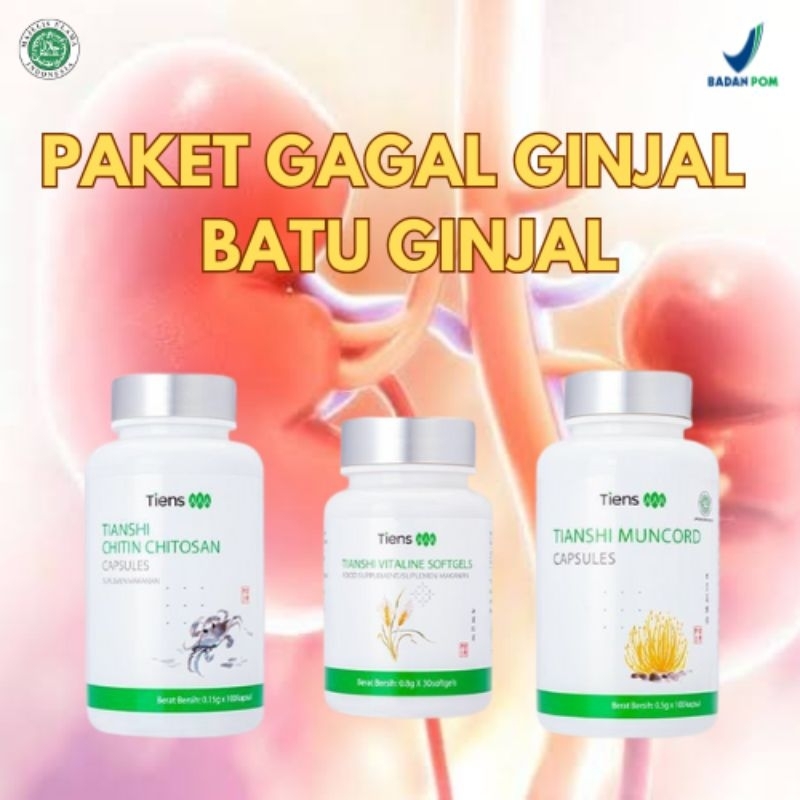 PAKET 1 BULAN TIENS GAGAL GINJAL/BATU GINJAL/CORDYCEPS CAPSULE