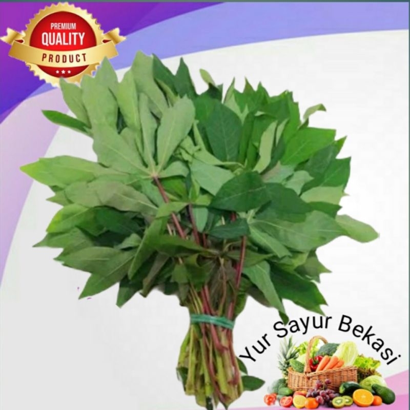 

Daun Singkong Per ikat