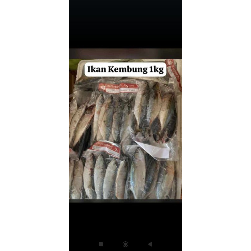 

Kembung frozen 1kg