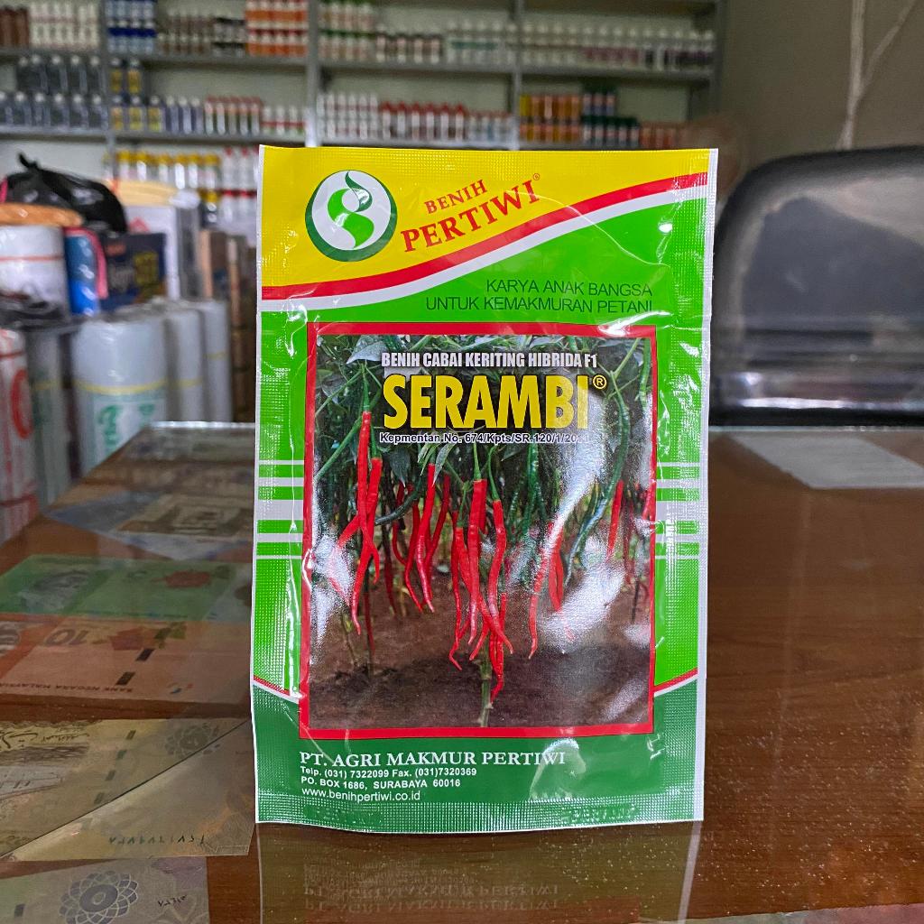 Benih Cabe Keriting Serambi F1