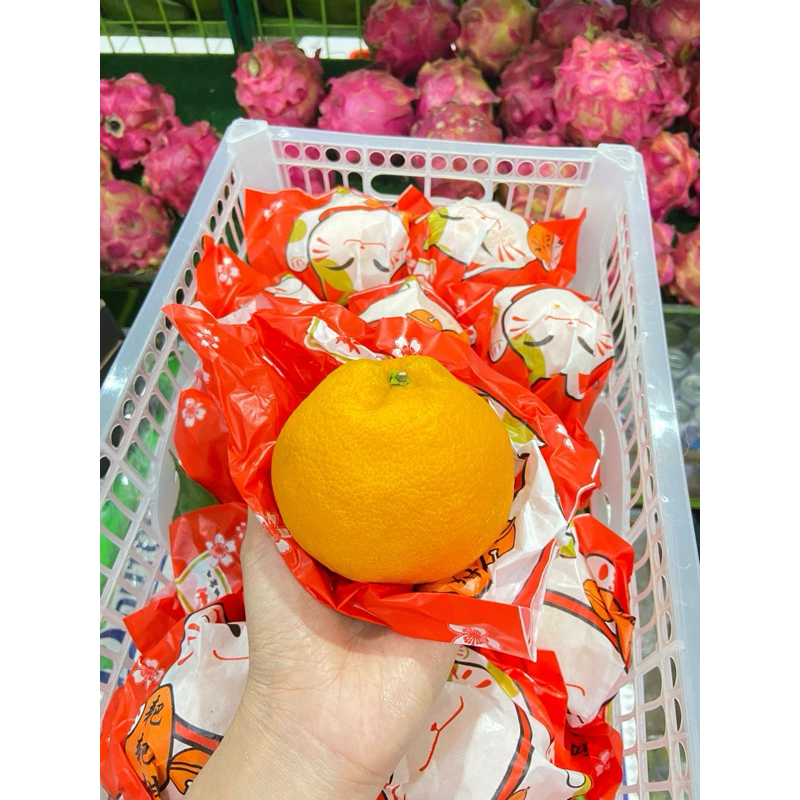 

bisa kirim dadakan hampers buah imlek cny jeruk papagan dekopon papagam 6 kg kucing panda manis surabaya sidoarjo