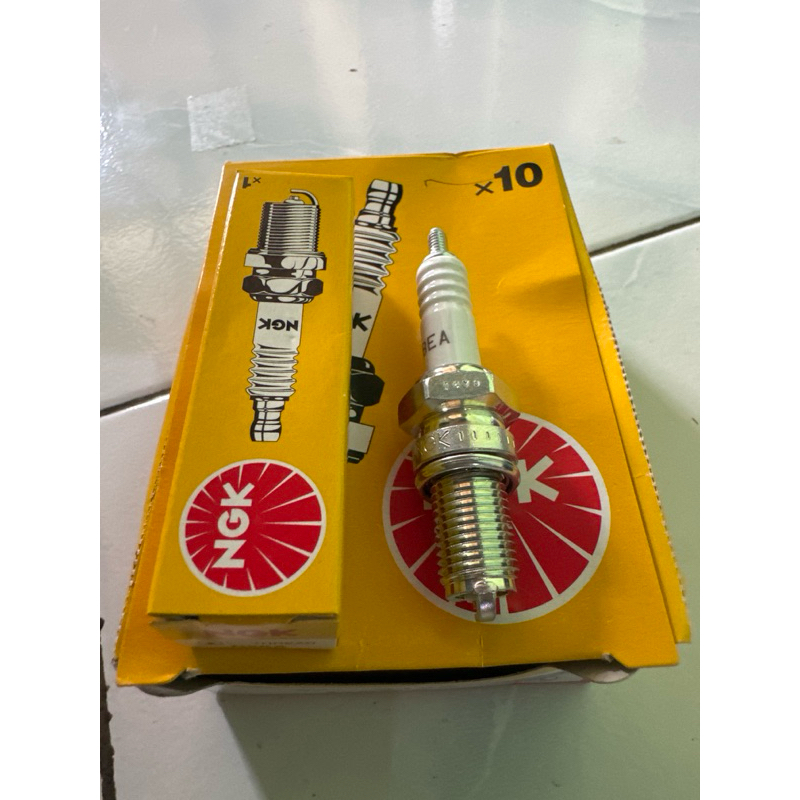 Busi NGK D8EA  megapro, tiger, gl pro Original NGK