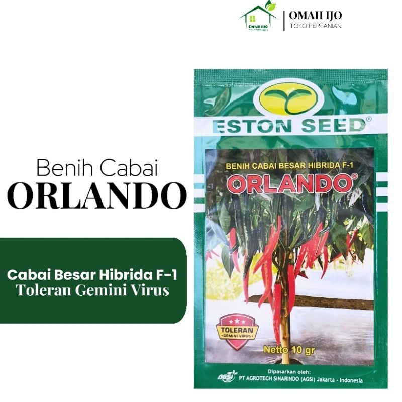 Cabe Orlando F1 Cabe Besar Hibrida Tahan Virus Kemasan 10gr Original Pabrik Eston Seed