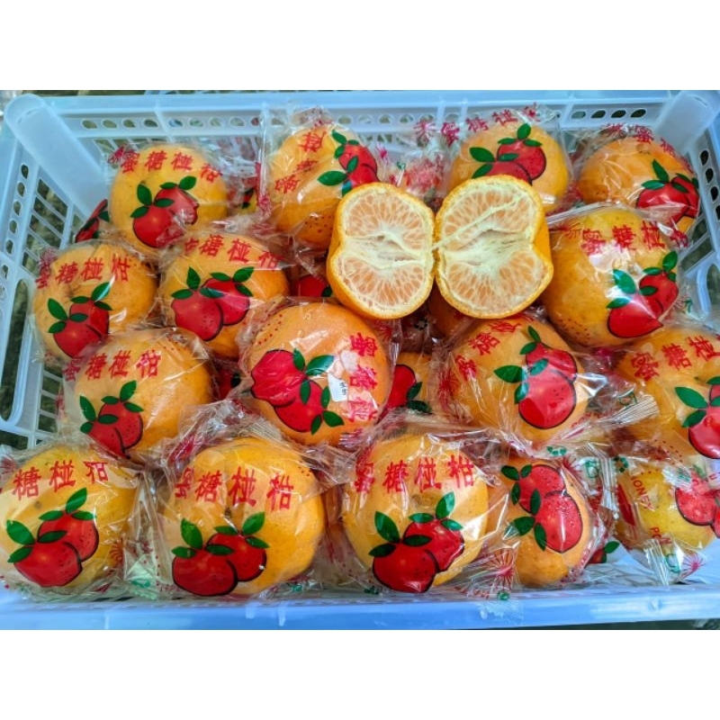 

Jeruk ponkam 500 gram