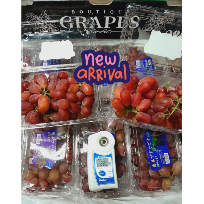 

Anggur Crimson 1 Dus (10 Pack) Fresh Import