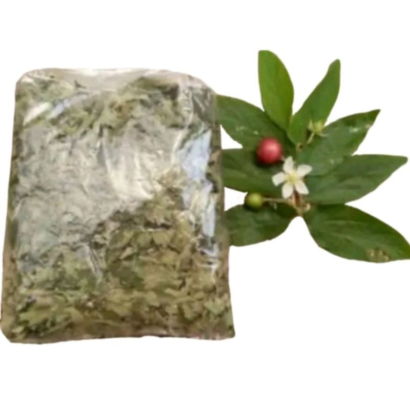 

daun kersen per 10 gram