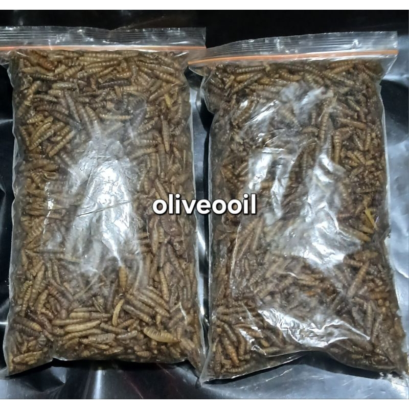 maggot magot ulat kering 100 gr