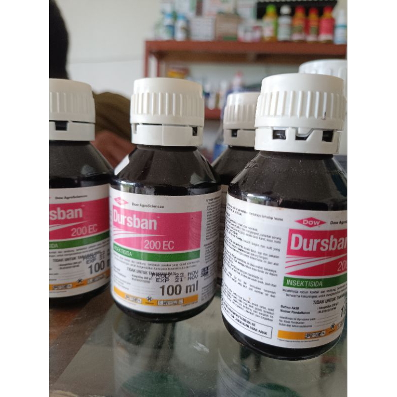 Dursban 200EC 100ml insektisida bahan aktif klorpirifos 200gl